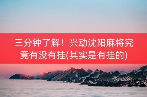 三分钟了解！兴动沈阳麻将究竟有没有挂(其实是有挂的)