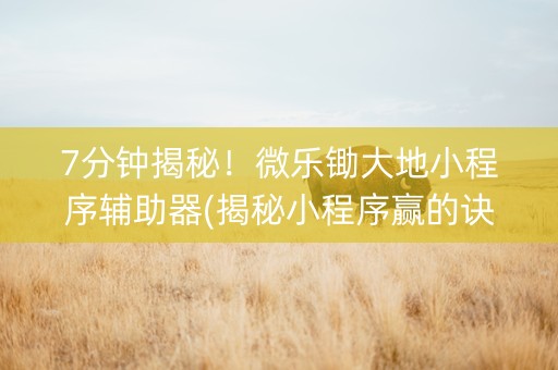 7分钟揭秘！微乐锄大地小程序辅助器(揭秘小程序赢的诀窍)