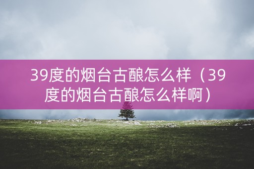 39度的烟台古酿怎么样（39度的烟台古酿怎么样啊）