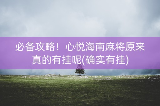 必备攻略！心悦海南麻将原来真的有挂呢(确实有挂)