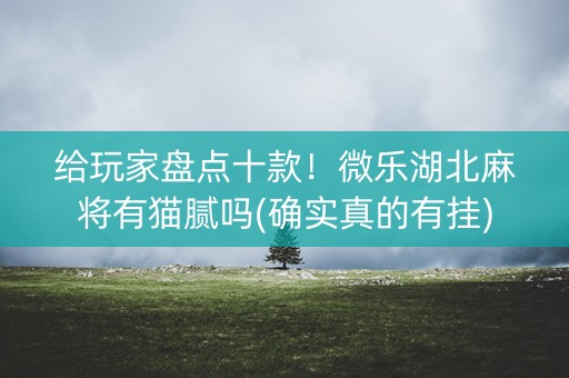 给玩家盘点十款！微乐湖北麻将有猫腻吗(确实真的有挂)