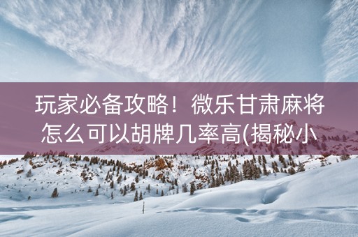 玩家必备攻略！微乐甘肃麻将怎么可以胡牌几率高(揭秘小程序输赢规律)