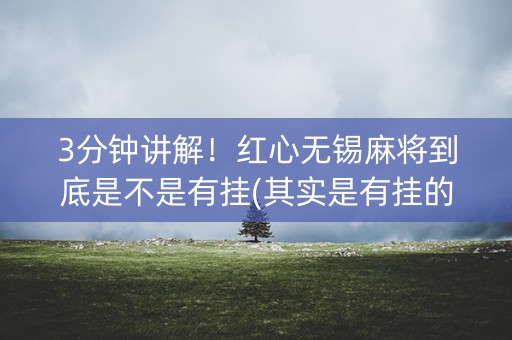 3分钟讲解！红心无锡麻将到底是不是有挂(其实是有挂的)