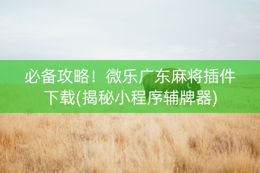 必备攻略！微乐广东麻将插件下载(揭秘小程序辅牌器)