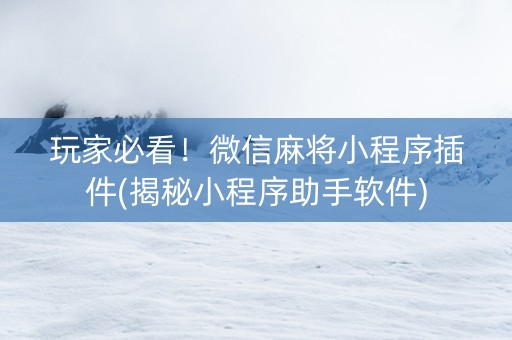 玩家必看！微信麻将小程序插件(揭秘小程序助手软件)