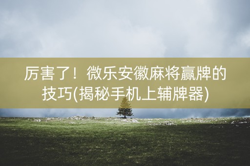 厉害了！微乐安徽麻将赢牌的技巧(揭秘手机上辅牌器)