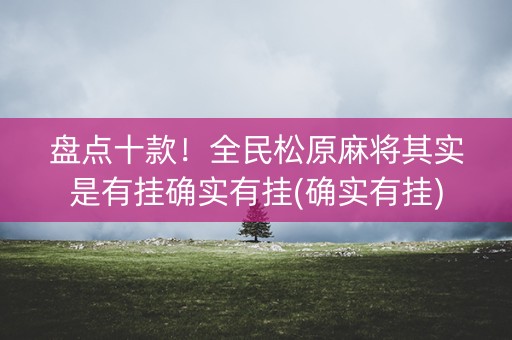 盘点十款！全民松原麻将其实是有挂确实有挂(确实有挂)