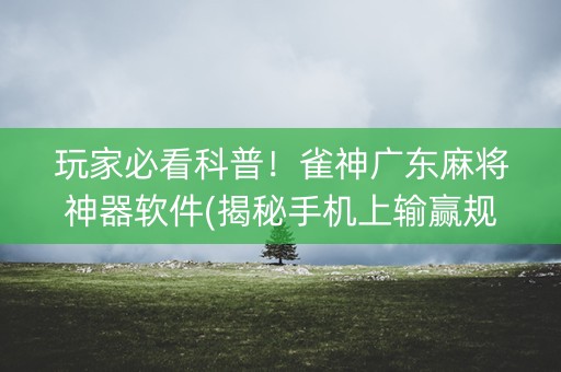 玩家必看科普！雀神广东麻将神器软件(揭秘手机上输赢规律)