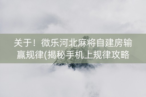 关于！微乐河北麻将自建房输赢规律(揭秘手机上规律攻略)