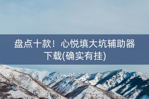 盘点十款！心悦填大坑辅助器下载(确实有挂)