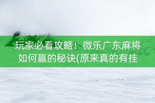 玩家必看攻略！微乐广东麻将如何赢的秘诀(原来真的有挂)