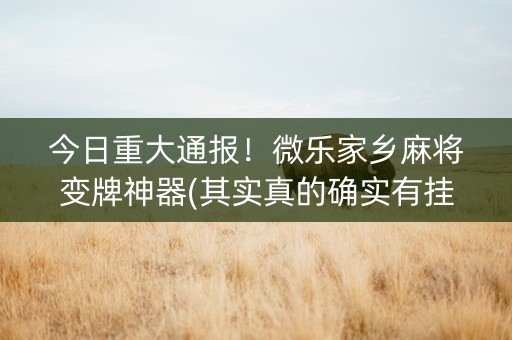 今日重大通报！微乐家乡麻将变牌神器(其实真的确实有挂)