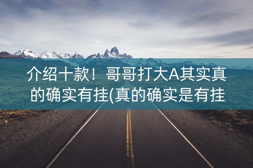 介绍十款！哥哥打大A其实真的确实有挂(真的确实是有挂)