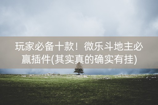 玩家必备十款！微乐斗地主必赢插件(其实真的确实有挂)