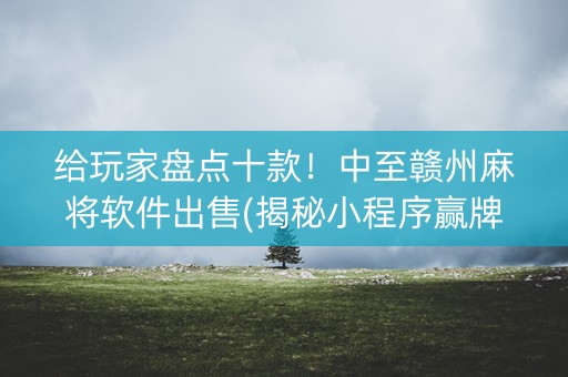 给玩家盘点十款！中至赣州麻将软件出售(揭秘小程序赢牌技巧)