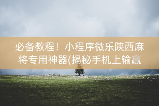 必备教程！小程序微乐陕西麻将专用神器(揭秘手机上输赢技巧)