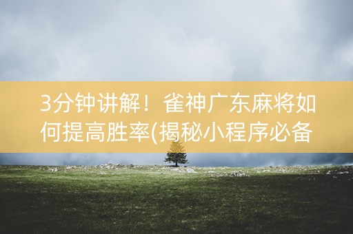 3分钟讲解！雀神广东麻将如何提高胜率(揭秘小程序必备神器)