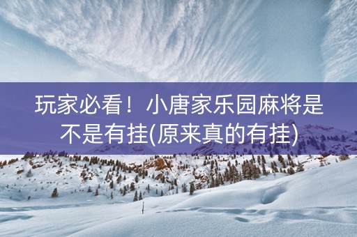 玩家必看！小唐家乐园麻将是不是有挂(原来真的有挂)