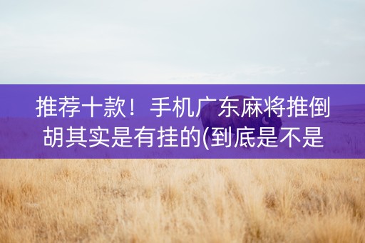 推荐十款！手机广东麻将推倒胡其实是有挂的(到底是不是有挂)