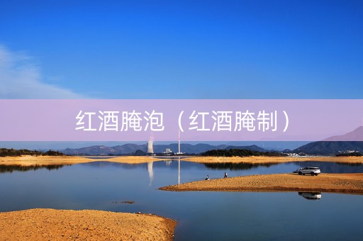 红酒腌泡（红酒腌制）