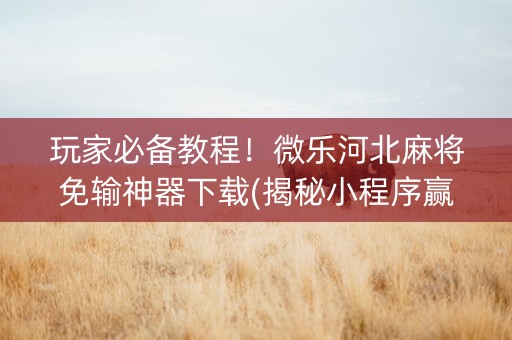 玩家必备教程！微乐河北麻将免输神器下载(揭秘小程序赢牌技巧)