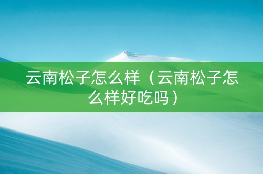 云南松子怎么样（云南松子怎么样好吃吗）