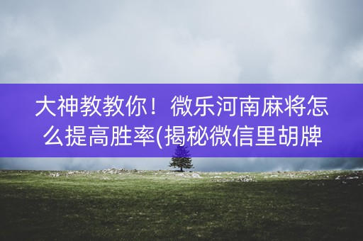 大神教教你！微乐河南麻将怎么提高胜率(揭秘微信里胡牌神器)