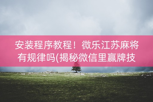 安装程序教程！微乐江苏麻将有规律吗(揭秘微信里赢牌技巧)
