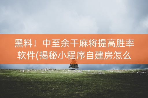 黑料！中至余干麻将提高胜率软件(揭秘小程序自建房怎么赢)
