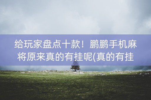 给玩家盘点十款！鹏鹏手机麻将原来真的有挂呢(真的有挂)