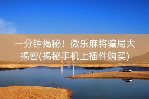 一分钟揭秘！微乐麻将骗局大揭密(揭秘手机上插件购买)