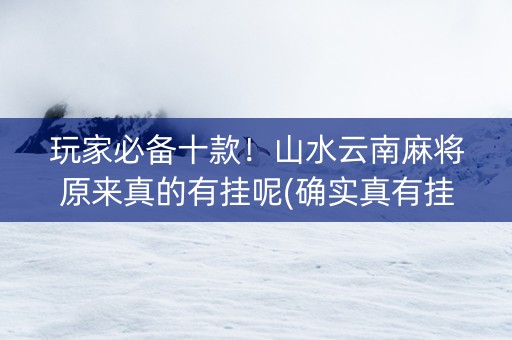 玩家必备十款！山水云南麻将原来真的有挂呢(确实真有挂)