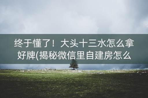终于懂了！大头十三水怎么拿好牌(揭秘微信里自建房怎么赢)