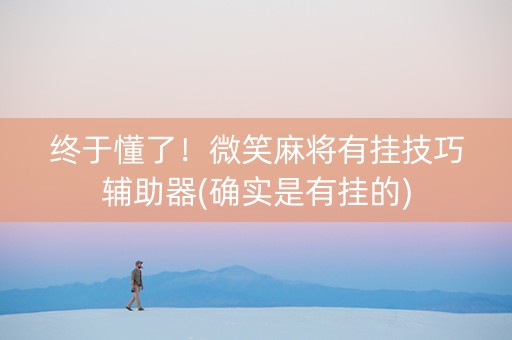 终于懂了！微笑麻将有挂技巧辅助器(确实是有挂的)