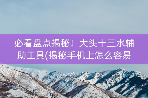 必看盘点揭秘！大头十三水辅助工具(揭秘手机上怎么容易赢)