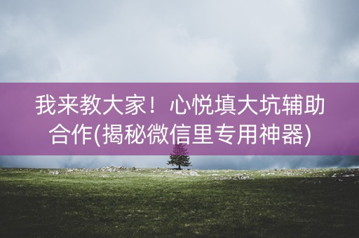 我来教大家！心悦填大坑辅助合作(揭秘微信里专用神器)