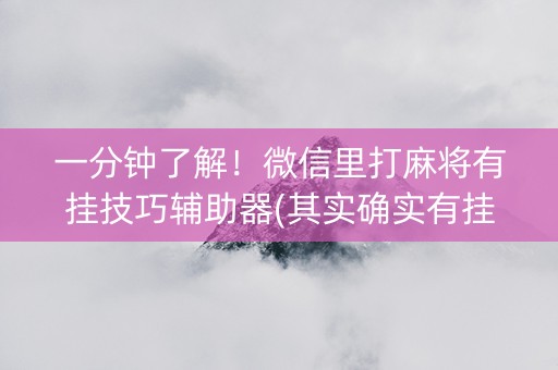 一分钟了解！微信里打麻将有挂技巧辅助器(其实确实有挂)