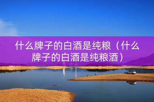 什么牌子的白酒是纯粮（什么牌子的白酒是纯粮酒）