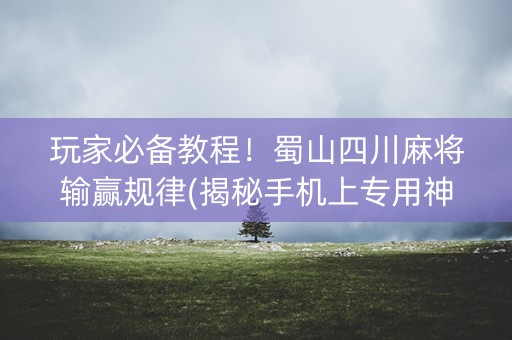 玩家必备教程！蜀山四川麻将输赢规律(揭秘手机上专用神器)