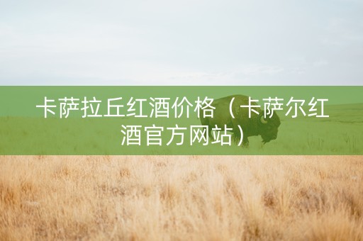 卡萨拉丘红酒价格（卡萨尔红酒官方网站）