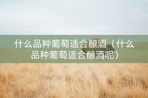 详细阅读:什么品种葡萄适合酿酒(什么品种葡萄适合酿酒呢) 什么品种葡萄适合酿酒(什么品种葡萄适合酿酒呢)