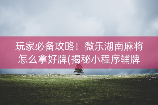玩家必备攻略！微乐湖南麻将怎么拿好牌(揭秘小程序辅牌器)
