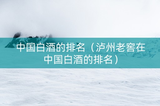 中国白酒的排名（泸州老窖在中国白酒的排名）