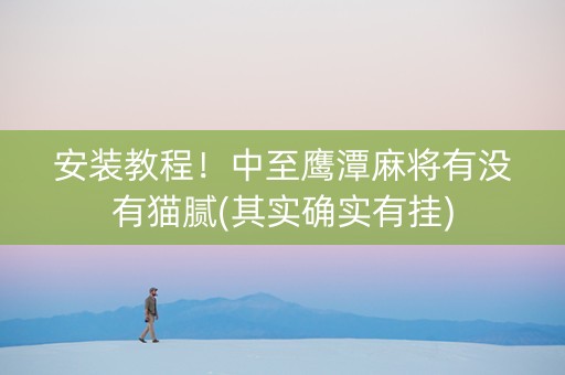 安装教程！中至鹰潭麻将有没有猫腻(其实确实有挂)