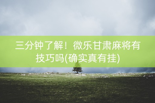 三分钟了解！微乐甘肃麻将有技巧吗(确实真有挂)