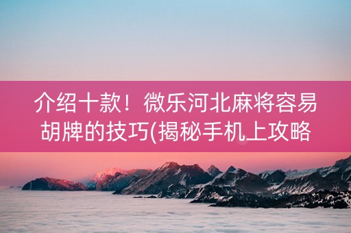 介绍十款！微乐河北麻将容易胡牌的技巧(揭秘手机上攻略插件)