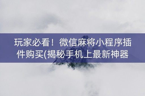 玩家必看！微信麻将小程序插件购买(揭秘手机上最新神器下载)