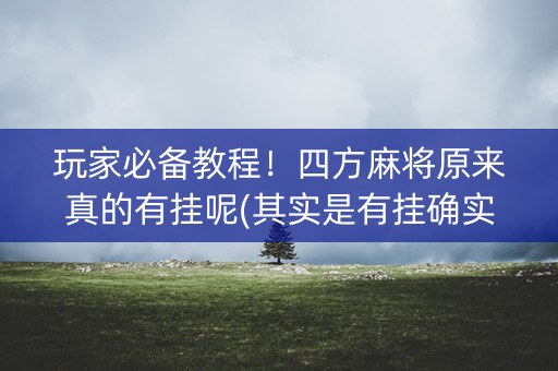 玩家必备教程！四方麻将原来真的有挂呢(其实是有挂确实有挂)