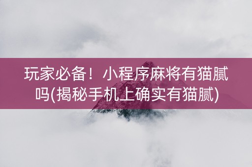 玩家必备！小程序麻将有猫腻吗(揭秘手机上确实有猫腻)