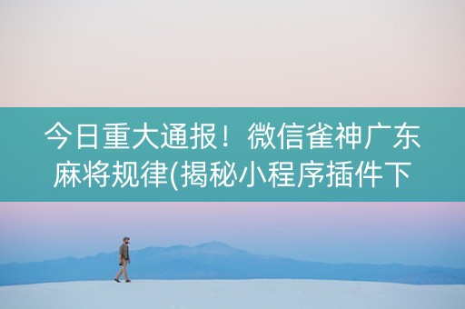 今日重大通报！微信雀神广东麻将规律(揭秘小程序插件下载)